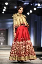 Model walk the ramp for Shanatanu and Nikhil showcase bridal collection in Delhi on 23rd July 2013 (34).jpg